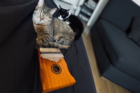 A Cozy Corner with My Newlam Kalimba and Furry Friends